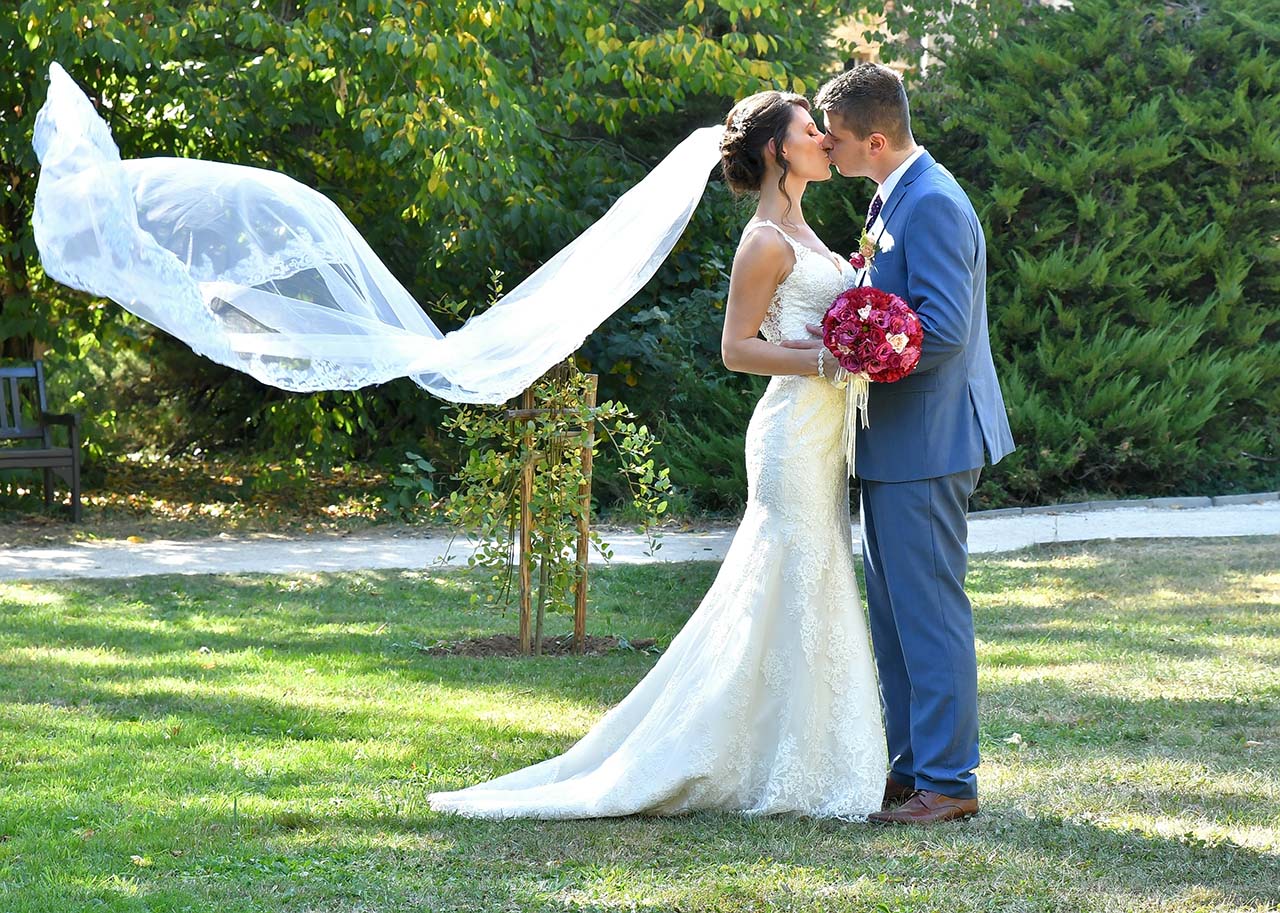 Фотограф Велимира Илиева logo