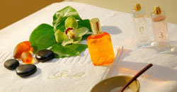 Манила ЕООД logo