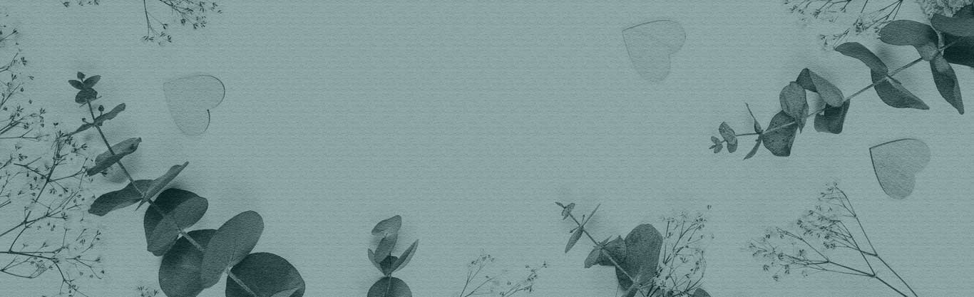 Victor popov wedding video recording services